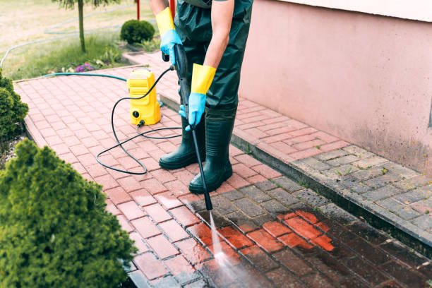 Best Roof Pressure Washing  in Black River Falls, WI
