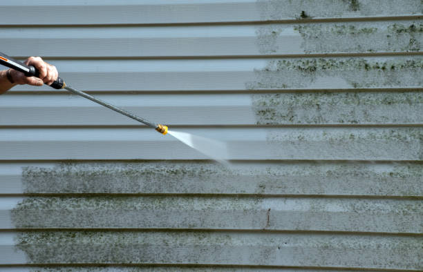 Best Affordable Pressure Washing  in Black River Falls, WI