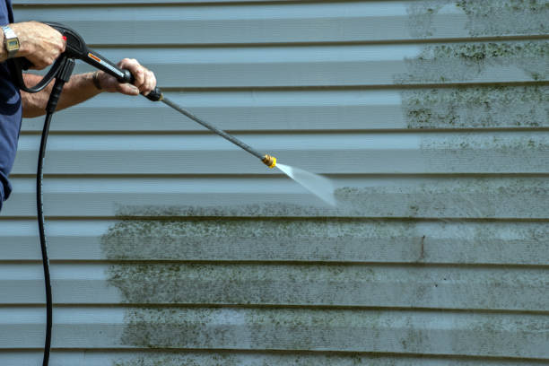 Best Residential Pressure Washing Services  in Black River Falls, WI