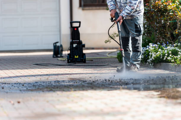 Best Roof Pressure Washing  in Black River Falls, WI