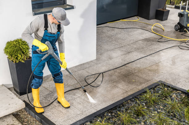 Best Pressure Washing Near Me  in Black River Falls, WI