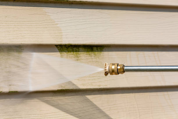 Best Affordable Power Washing  in Black River Falls, WI